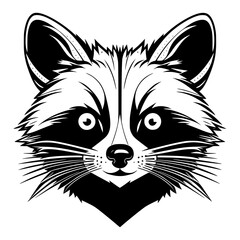 Vector Illustration Raccoon