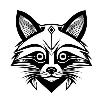 Vector Illustration Raccoon