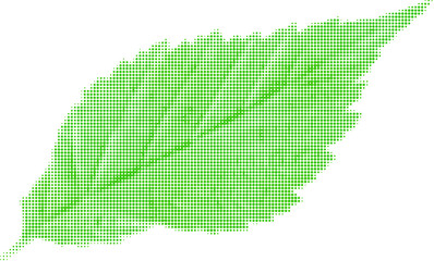 raspberry leaf green isolated on white background