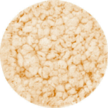 cornflake bread, round, one, isolated on white background