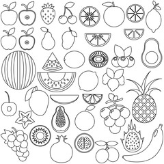 Fruits icon vector. Food illustration sign. Vitamins symbol. Vegetarian logo.