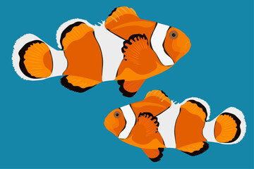 vector of clown fish in the sea, vector illustration. Eps 10