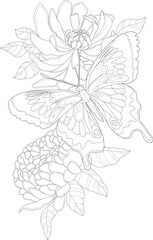 Realistic peony flowers and butterfly graphic sketch template. Spring season cartoon vector illustration in black and white for games, background, pattern. Coloring paper, page, story book, print