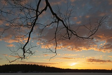 Fototapeta premium Leafless tree branch over frozen lake in winter at sunset.