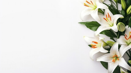 flowers white pastel lilies composition on a white background copy space template