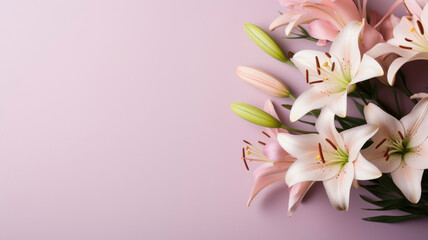flowers white pastel lilies composition on a pink powdery background copy space template