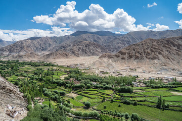 Naklejka premium Beautiful views of the Himalayas, green fields in the mountains, Ladakh