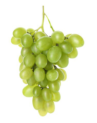Fresh ripe juicy grapes isolated on white