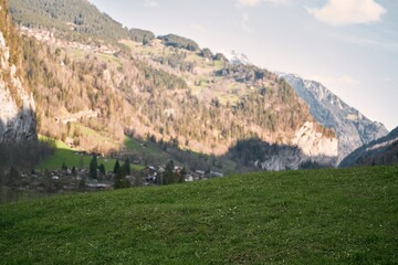 Fototapeta premium Natural landscape background of Europe. Snow-Covered Alps Forest. A Tranquil and Scenic Winter Escape