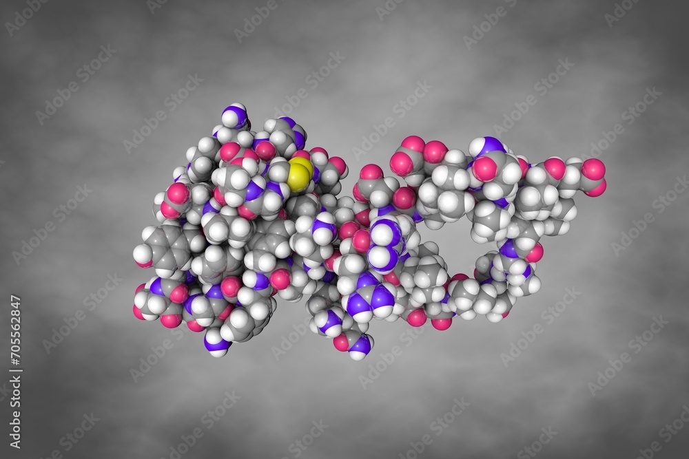 Wall mural Proinsulin. Space-filling molecular model. Atoms are shown as spheres with conventional color coding: carbon (grey), oxygen (red), hydrogen (white), nitrogen (blue), sulfur (yellow). 3d illustration