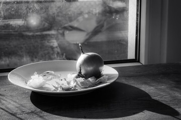 Onion