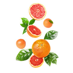 Fresh grapefruits and green leaves falling on white background