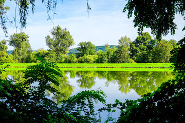 View of the Harkortsee and the surrounding landscape. Nature by the lake on the Ruhr. Lake in the...