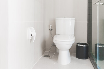 Fototapeta na wymiar white ceramic toilet bowl in modern bathroom and paper roll