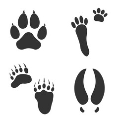 Footprints of Forest Animal, Traces of a Tiger, Bear, Moose, Hare on white background.  Silhouette animal tracks in grar. Paw Print for your  design. Vector illustration. EPS10.
