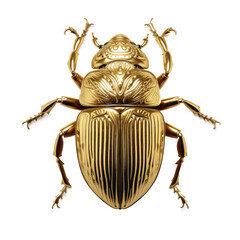 Golden Scarab beetle