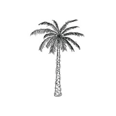 palm tree nature summer vibes vector icon