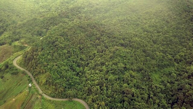 Aerial logistics concept. A winding road traverses the vibrant tropical rainforest, creating a mesmerizing blend of nature and transportation.