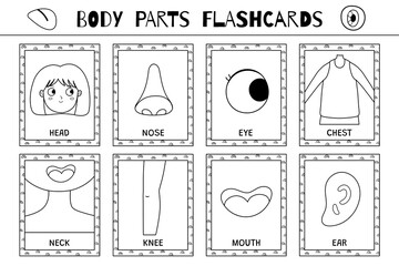 Body parts flashcards black and white collection. Flash cards for coloring. Learn vocabulary for school and preschool. Head, nose, eye and more. Vector illustration