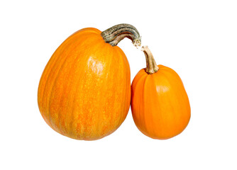 Ripe pumpkins on white