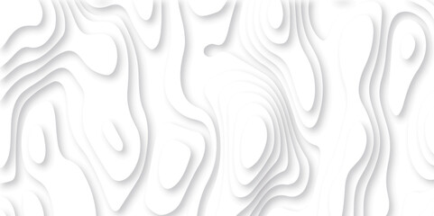 Fototapeta na wymiar Abstract white paper cut background with lines. Background of the topographic map. White wave paper curved reliefs abstract background. Realistic papercut decoration textured with wavy layers.