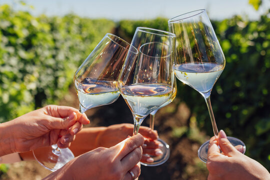 Making a celebratory toast with sparkling wine. Female hands holding glasses of champagne