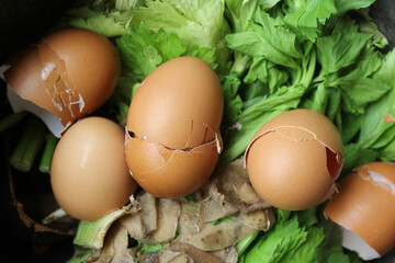 Egg shells, potato peels and celery leaves in a food scrap compost heap