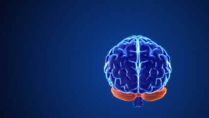 Mental processes in the brain 3d animation	
