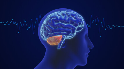 Obraz premium 3D animation of the human brain intelligence and thinking with waves 