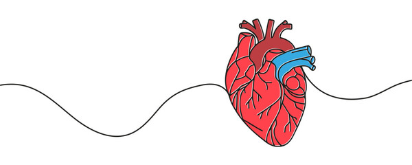 human heart drawn with a line. Vector illustration. - obrazy, fototapety, plakaty