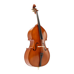 Fototapeta premium Double bass isolated on transparent background