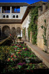 Fototapeta na wymiar View from Alhambra, Granada, Spain