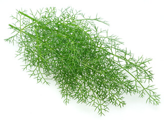 Green dill twigs isolated on white background.