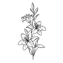 Line art Folwer Freehand 