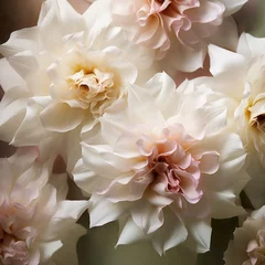 Wandaufkleber Petals in white © Tisha