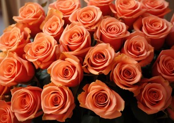 Orange roses tightly bunched together