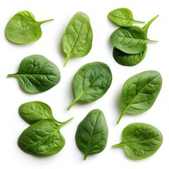 Fototapeta premium Collage with fresh baby spinach leaves on white background, top view