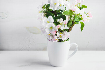 A beautiful sprig of an apple tree with white flowers in a cap against a white wooden background. Blossoming branch in a glass with water. Spring still life. Concept of spring or mom day