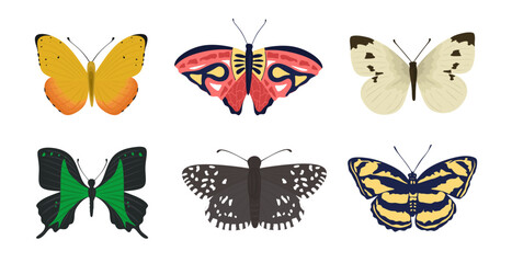 Set of exotic flying butterflies with colorful beautiful wings. Collection of lovely colorful insects with antenna isolated on white background. Gorgeous exotic pretty moth group, top view.Flat vector © Narek