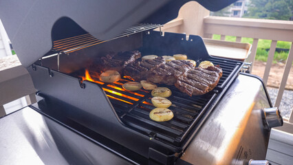 Outdoor Cooking. Grilling Dinner on Two-Burner Gas Grill