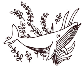 hand drawn vector illustration of whale
