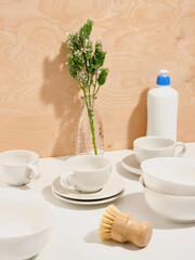 Elegant dinnerware. Clean plates and other dishes. Green plant branch on the background.