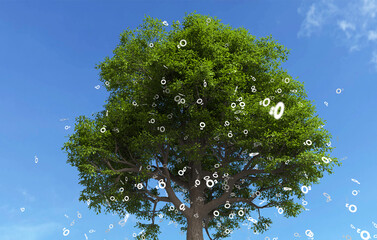 Big trees that are releasing oxygen, Environmental protection concept, Trees that are releasing O2....