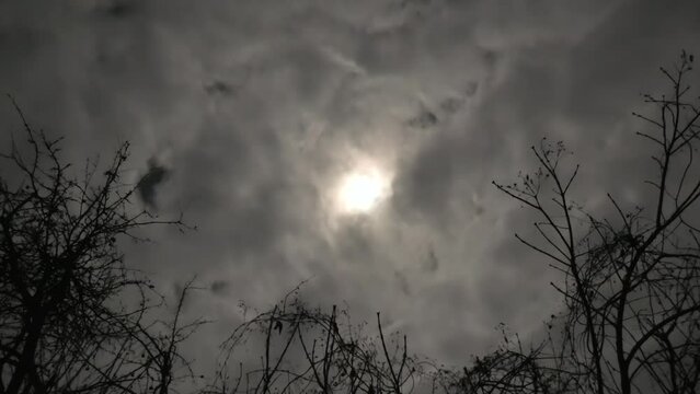 Cloudy night sky with the Moon behind flying clouds and tree branches without leaves in the foreground