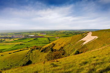 Westbury White horse, in golden evening summer light, Wiltshire