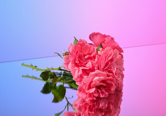 Fresh beautiful flowers and romance. Love and relationships.