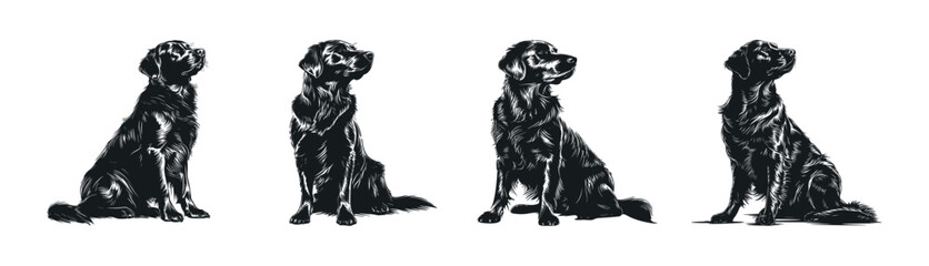Set of four golden retriever dogs, hand drawn silhouette. Vector illustration