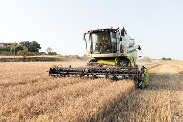 Man driving combine harvester with header on dry wheat field