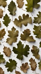 paper leaves on a white background