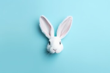 Fototapeta premium White rabbit on blue background. Generative AI